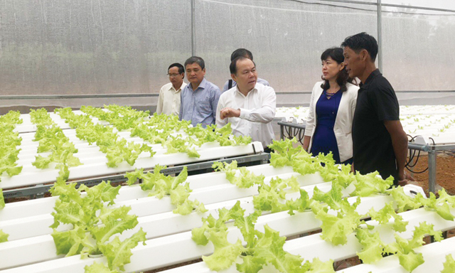 Sức mạnh các HTX ở Đà Nẵng