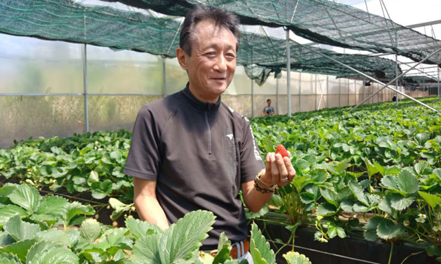 Đầu tư vào nông nghiệp: Ngoại sốt sắng, nội thờ ơ