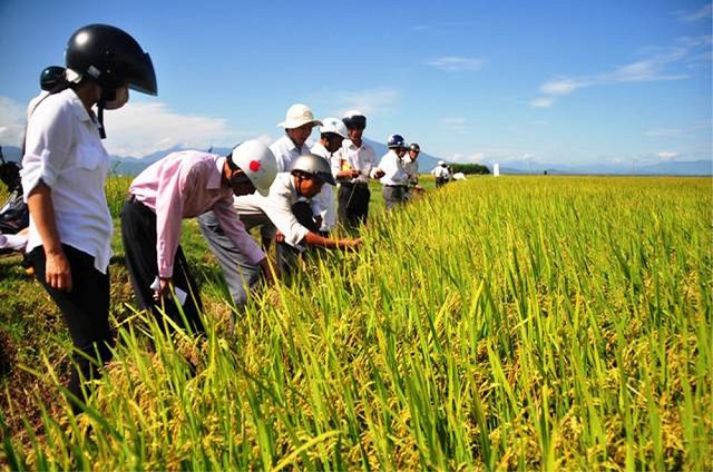 HTX Tân Cường bảo vệ môi trường khi không chạy theo năng suất
