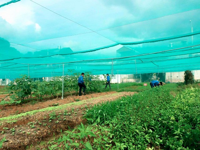 Sản xuất vì một nền nông nghiệp sạch