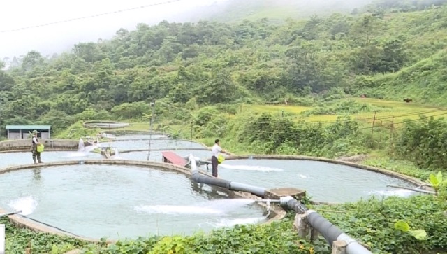 Nuôi cá an toàn, bảo vệ môi trường