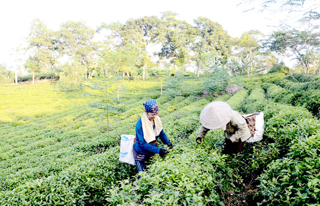Nâng tầm thương hiệu bằng chất lượng sản phẩm