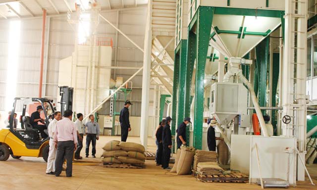 Kém cạnh tranh, DN cà phê nội khó lớn