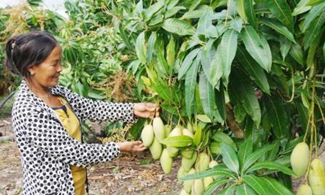 THT Tân Lợi khởi đầu từ sản xuất an toàn
