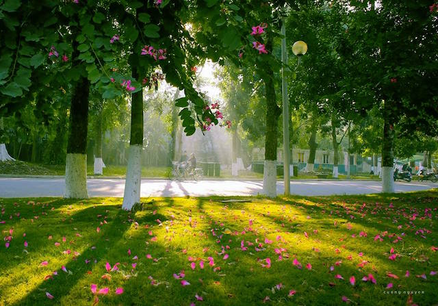 9 giải pháp gia tăng giá trị bất động sản