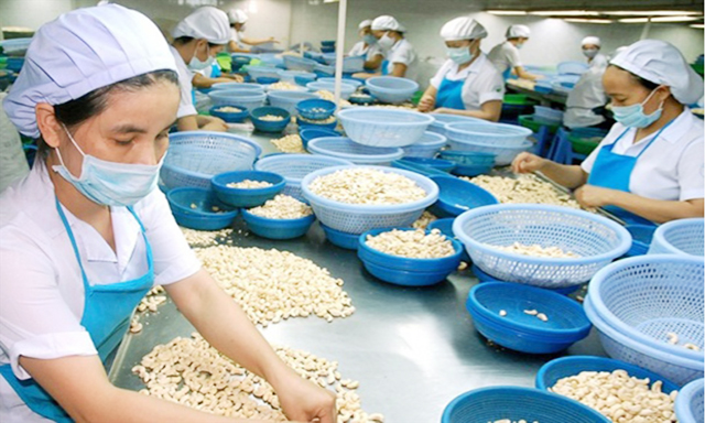 Ngành điều lo trước một năm khó khăn