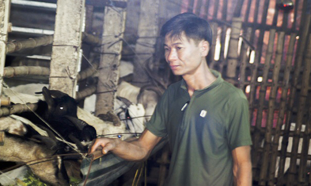 Thành triệu phú nhờ nuôi dê sạch