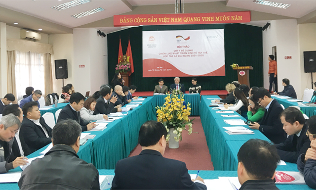 Chú trọng về chất trong chiến lược phát triển KTHT, HTX