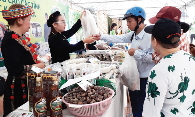 Khốc liệt cuộc đua theo xu hướng mới