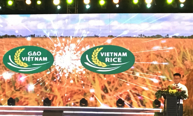 Có logo, gạo Việt sẽ cao giá hơn?