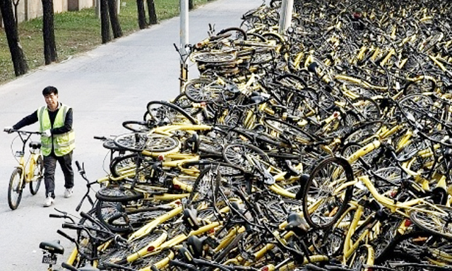 Ofo - startup được Alibaba góp vốn đang trên bờ vực phá sản