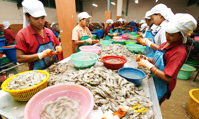Giá xuống đáy, xuất khẩu tôm lao đao