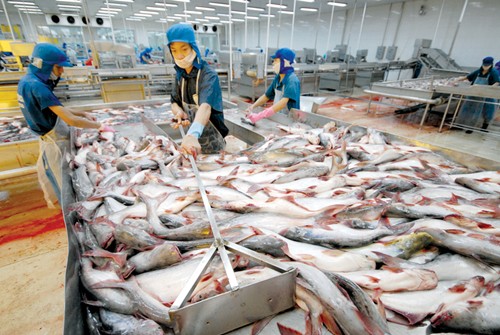 Xuất khẩu thủy sản thu 9 tỷ USD nhưng lỡ nhiều tiềm năng