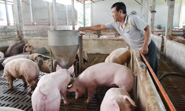 Tăng cạnh tranh từ giảm giá thức ăn chăn nuôi