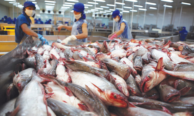 Có vàng lại đổ vàng đi!
