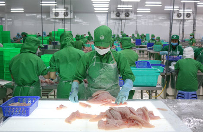 ASM tiếp tục “dò đáy”
