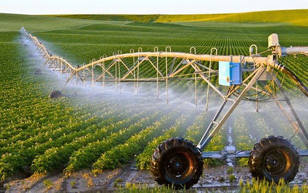 Tập đoàn T&T đầu tư Khu nông nghiệp công nghệ cao tại Quảng Nam