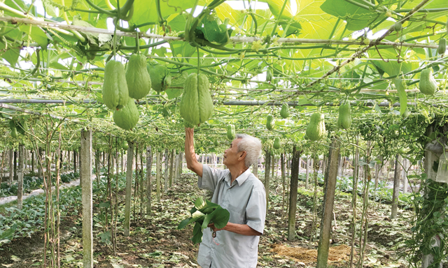 Chinh phục thị trường khó tính bằng cách làm hay