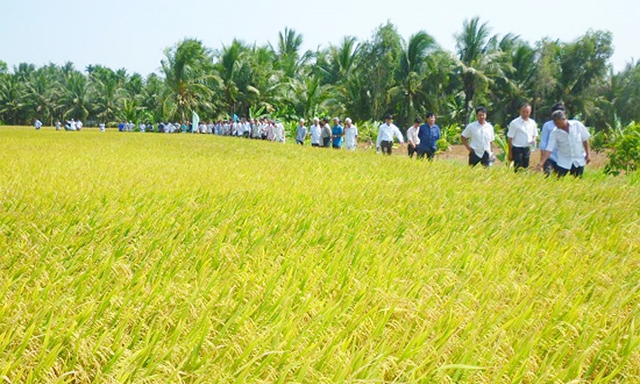 Làm nông thời công nghệ 4.0