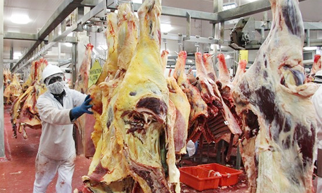 Nhật Bản bỏ lệnh cấm thịt bò Anh sau 23 năm