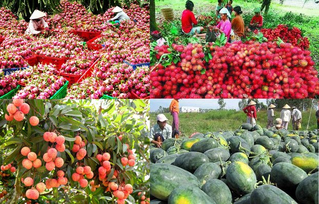 Nhiều nhóm hàng xuất khẩu sang Trung Quốc sụt giảm mạnh