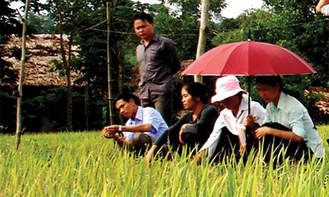 HTX Hoa Sơn: Phát huy hiệu quả từ sau Luật HTX 2012