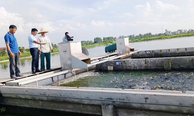 Liên minh HTX tỉnh Hải Dương: Thực hiện vai trò 