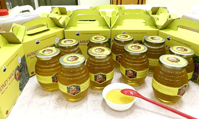 Hiệu quả mô hình HTX kiểu mới ở huyện vùng cao Mèo Vạc
