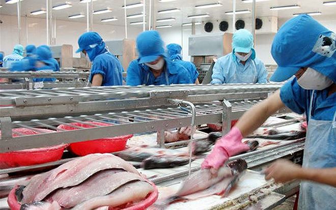 VHC lấy lại 'phong độ'