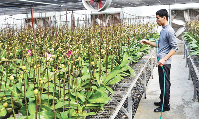 Các HTX sẵn sàn “bung hàng” phục vụ tết Kỷ Hợi