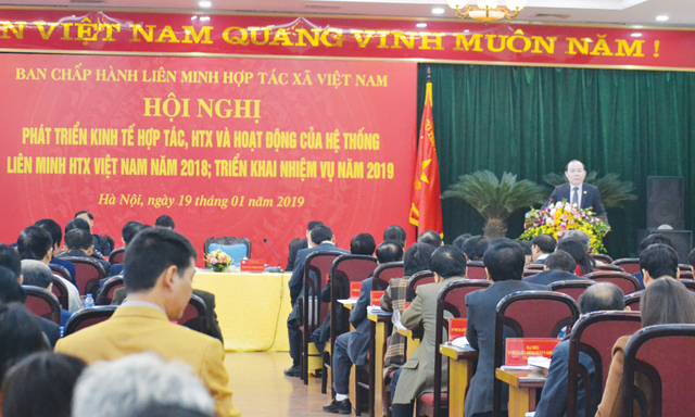 Liên minh HTX Việt Nam: Nòng cốt quan trọng phát triển KTHT, HTX