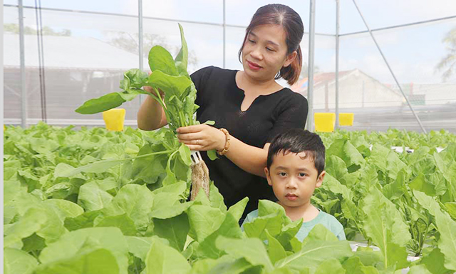Phát triển HTX đa dịch vụ: Hướng đi tất yếu