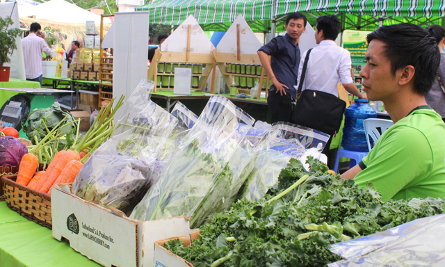 Lằn ranh chuyển đổi hộ kinh doanh cá thể
