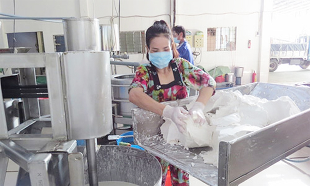 Thúc đẩy phát triển HTX trong làng nghề