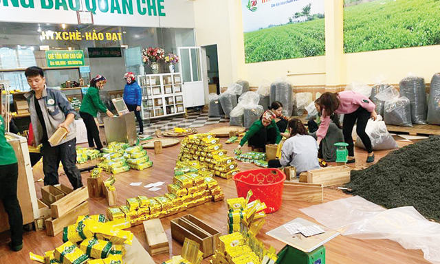 HTX Chè Hảo Đạt khẳng định thương hiệu chè Thái Nguyên