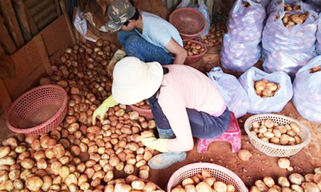 Vấn nạn đội lốt hàng Made in Vietnam