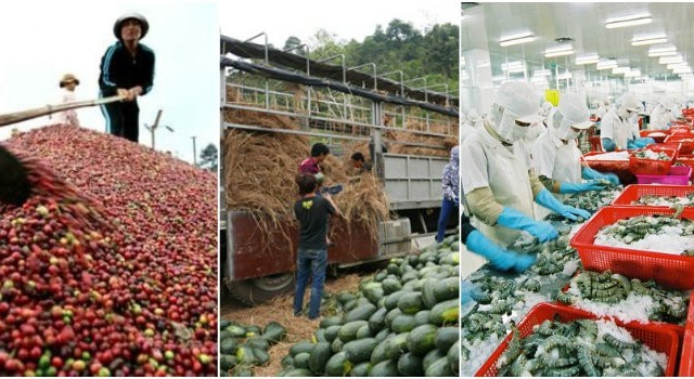 Xuất khẩu nông lâm thủy sản giảm