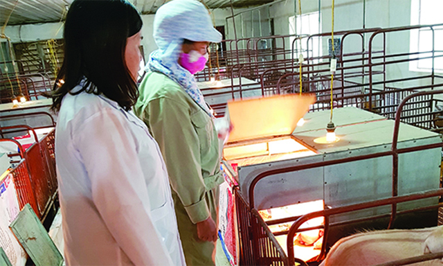 HTX Hợp Thịnh: Mô hình hàng đầu của Lạng Sơn