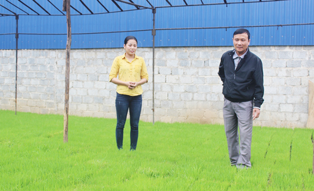 Khởi nghiệp thành công với HTX nông nghiệp kiểu mới