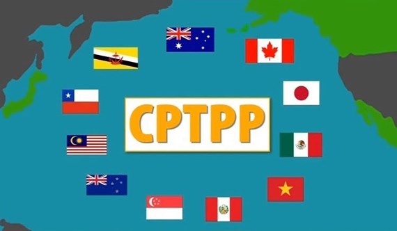 Doanh nghiệp Việt khó hưởng ưu đãi thuế từ CPTPP?