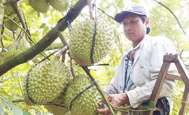HTX hoạt động hiệu quả nhờ đa dịch vụ