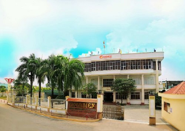 Cổ phiếu CMX hồi phục trở lại