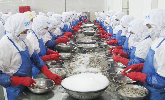 Thuế quan giảm, xuất khẩu vẫn khó với rào cản kỹ thuật