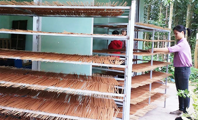 HTX Tân Tiến Phong: Đánh thức tiềm năng nghề sản xuất hương trầm