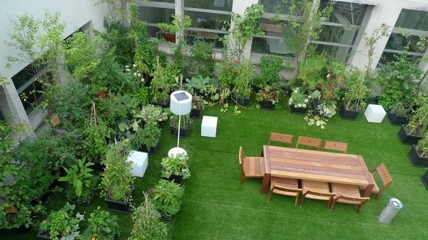Mốt căn hộ kèm sân vườn đang gây sốt tại TP.HCM