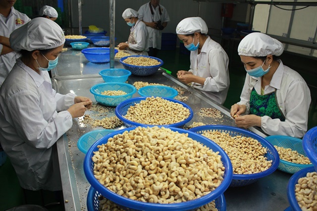 Điều rớt giá thảm
