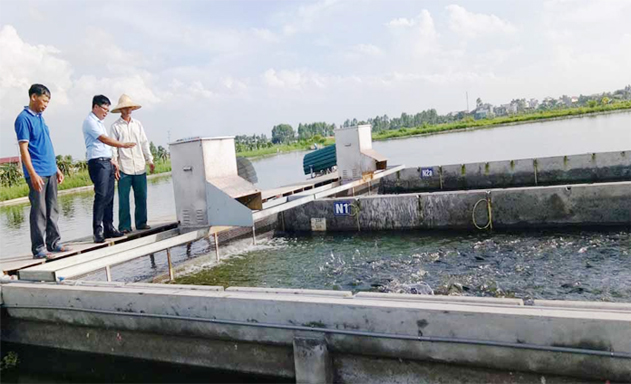 Khởi nghiệp nuôi cá thành công với công nghệ Isarel