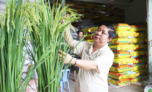 HTX Chín Táo sản xuất khép kín, nâng cao chất lượng