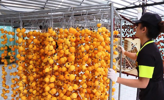 HTX Trường Gia Phát hỗ trợ phụ nữ khởi nghiệp