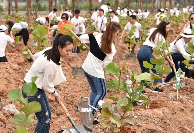 FLC Tropical City Ha Long tràn ngập sắc xanh sau sự kiện Go Green 2019
